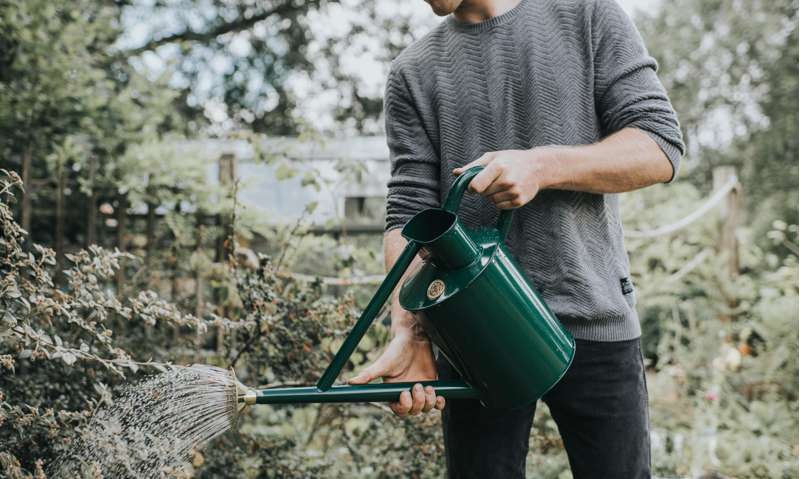 Haws The Bearwood Brook 9 L green